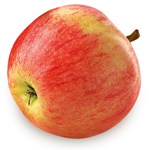 Apfel Apfel